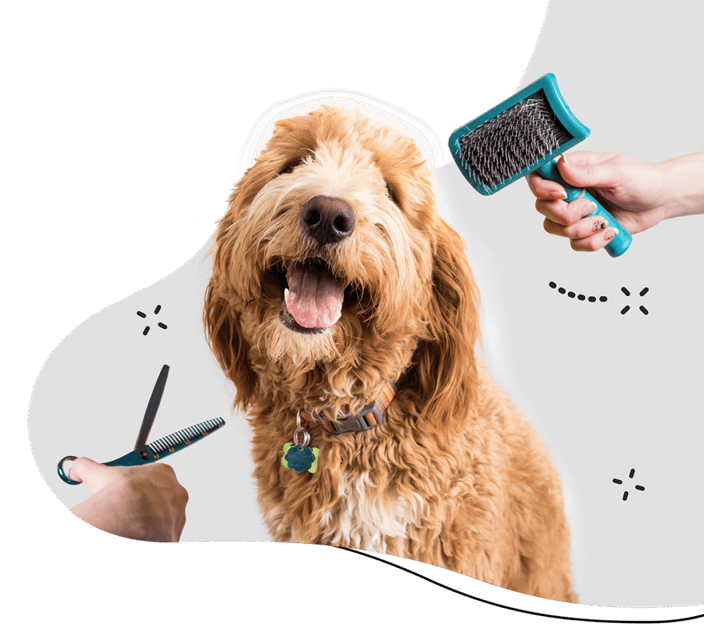 Grooming Services